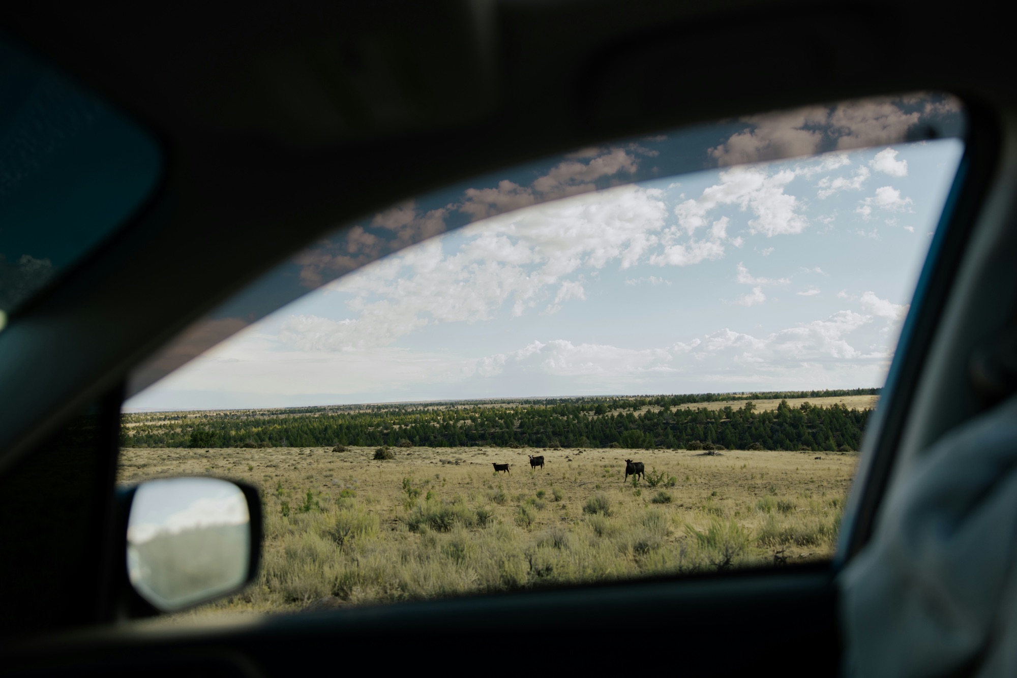 The Travel Items That Make Road Trips With Kids Peaceful